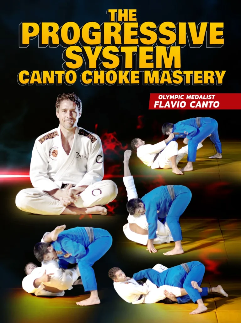 FlavioCanto_TheProgressiveSystemFrontCover